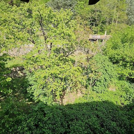 Appartement Malleval Chez Jeanne Zewnętrze zdjęcie